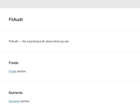 'fitaudit.com' screenshot