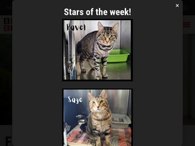 'spca-outaouais.org' screenshot