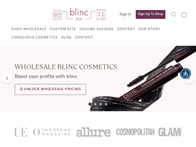 blincb2b.com homepage screenshot