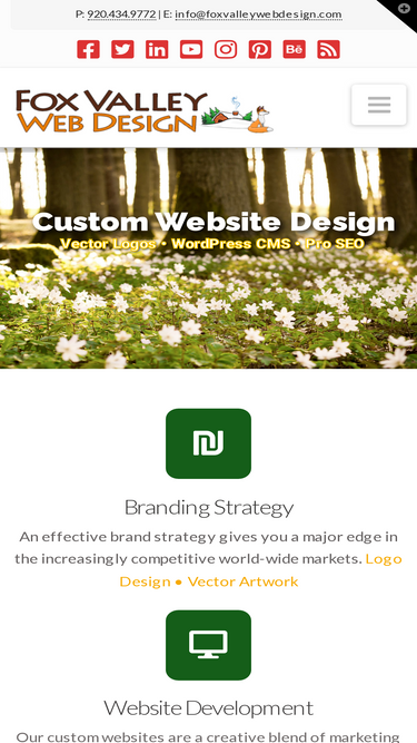 foxvalleywebdesign.com
