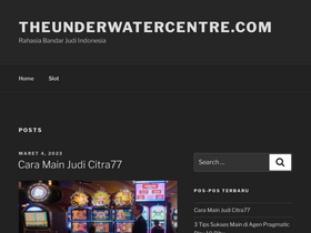 theunderwatercentre.com