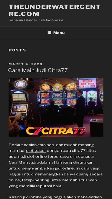 theunderwatercentre.com