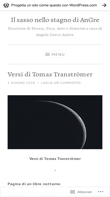 ilsassonellostagno.wordpress.com