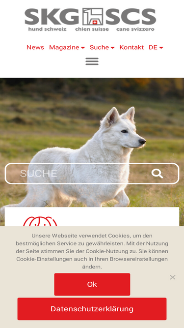 skg.ch