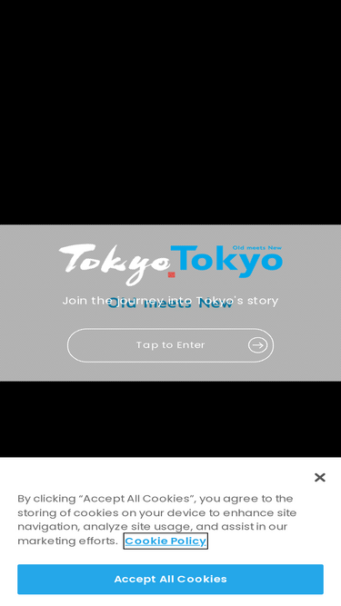 tokyotokyo.jp