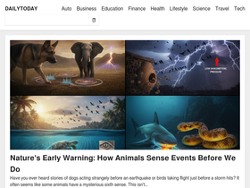 dailytoday.com