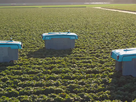 'x.company' screenshot