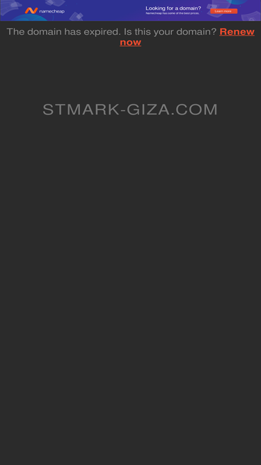 stmark-giza.com
