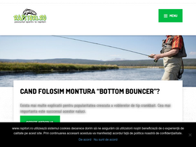 'rapitori.ro' screenshot