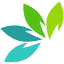 lexinic.co.nz