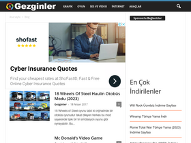 'indirgezginlerden.com' screenshot