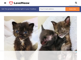 'lovemeow.com' screenshot