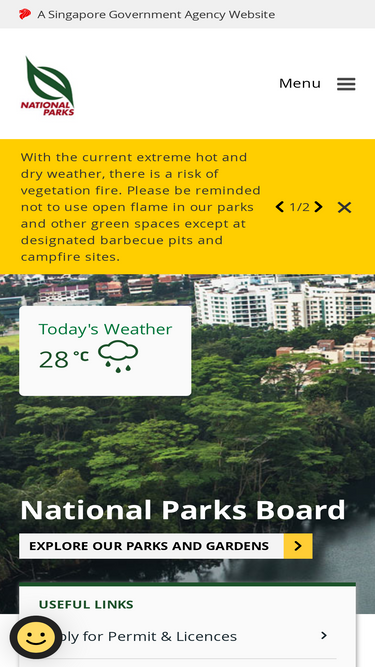 3 Yellow Flame - Know 10 Trees - Recommended Activities - Family Time with  Nature - Activities - National Parks Board (NParks)