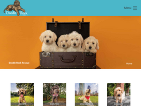 doodlerockrescue.org