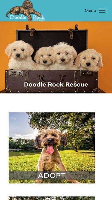 doodlerockrescue.org