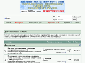 'pesiq.ru' screenshot