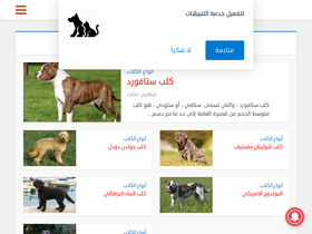 zootion.com