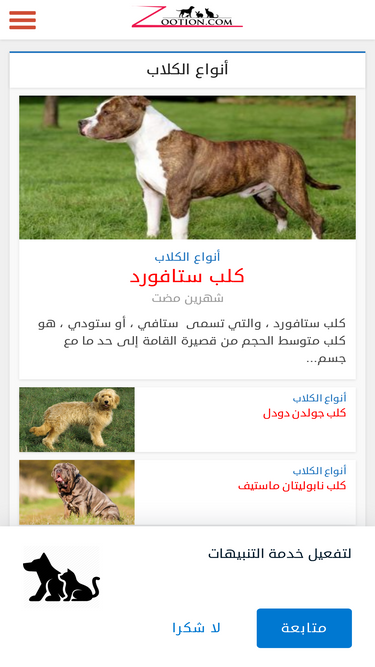 zootion.com