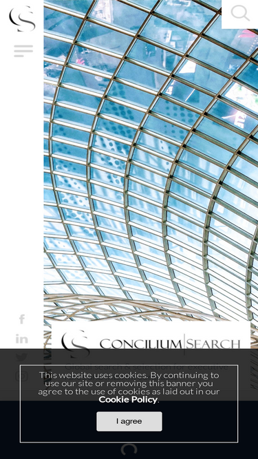 conciliumsearch.com