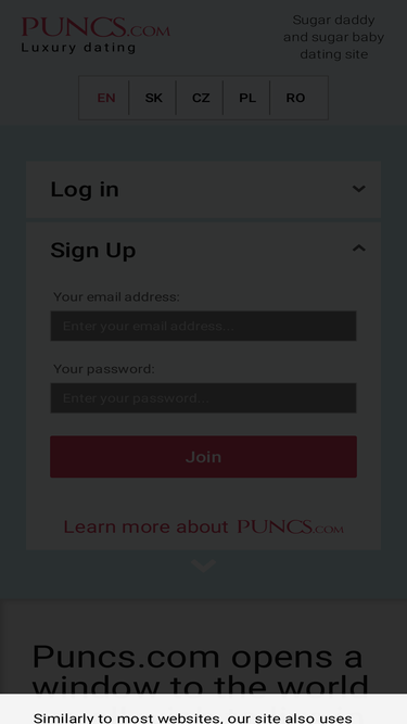 puncs.com