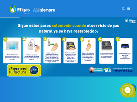 'efigas.com.co' screenshot
