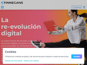 'finneg.com' screenshot