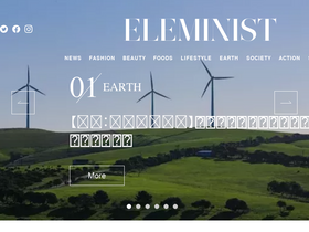 'eleminist.com' screenshot