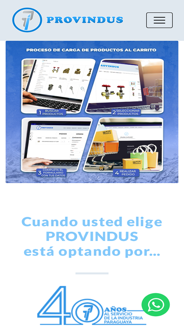 provindus.com.py