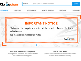 'guidechem.com' screenshot