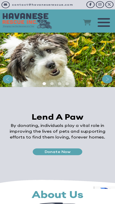 havaneserescue.com