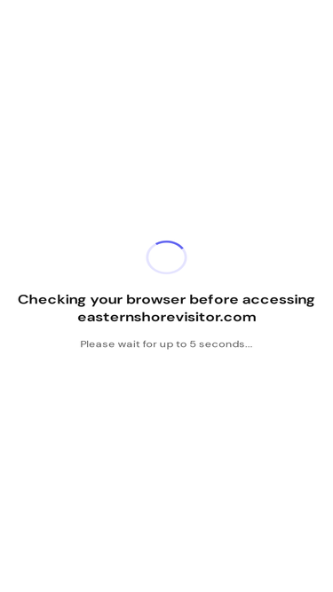 easternshorevisitor.com