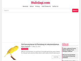 'nulislagi.com' screenshot