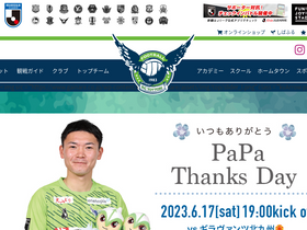 'gainare.co.jp' screenshot