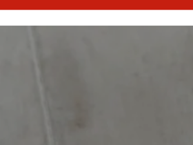 Everized website screenshot