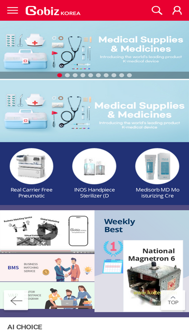 gobizkorea.com