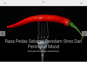'primarasa.co.id' screenshot