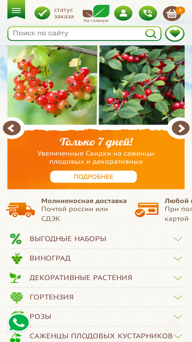 rostok-pitomnik.ru