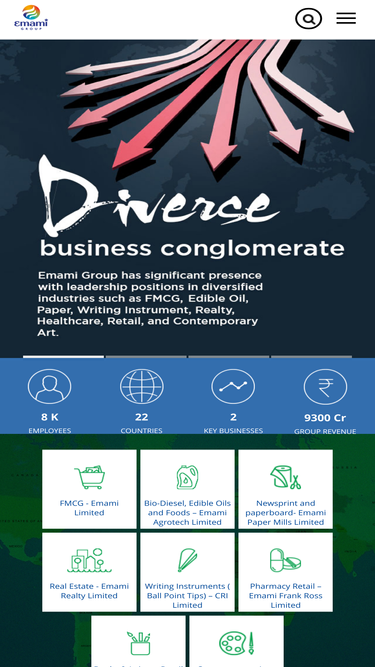 emamigroup.com