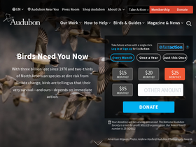 'projectpuffin.audubon.org' screenshot