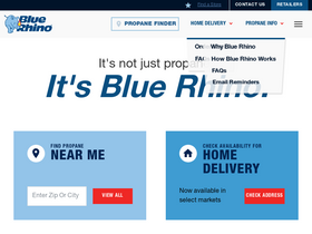 'bluerhino.com' screenshot