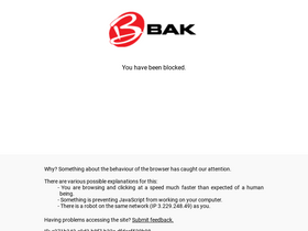 'bakindustries.com' screenshot