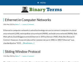 'binaryterms.com' screenshot