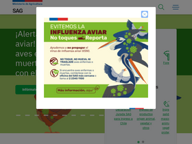 'sag.gob.cl' screenshot