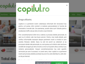 'copilul.ro' screenshot