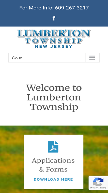 lumbertontwp.com