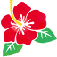 isopon-hawaii.com