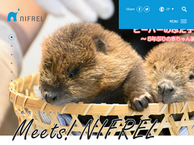 'nifrel.jp' screenshot
