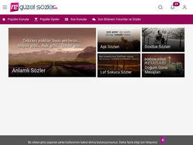 'neguzelsozler.com' screenshot