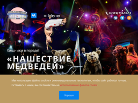 'circus-novosibirsk.ru' screenshot