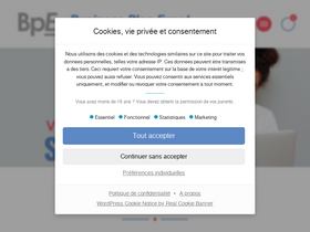 'business-plan-excel.fr' screenshot